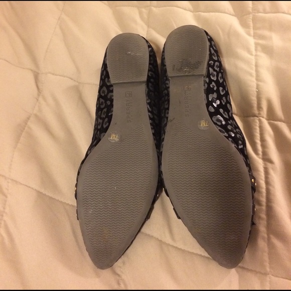 Sperry Flats - Picture 3 of 3