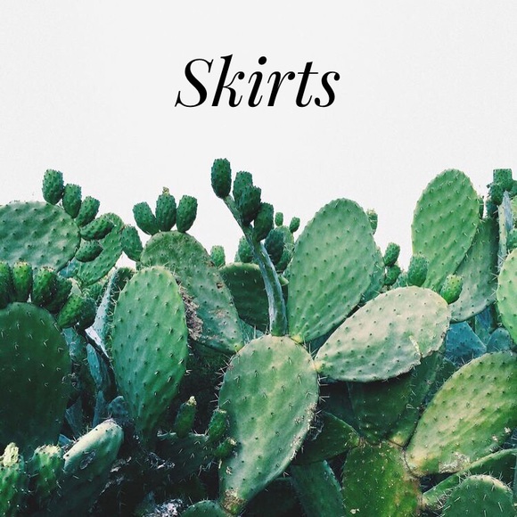 Skirts - Picture 1 of 1