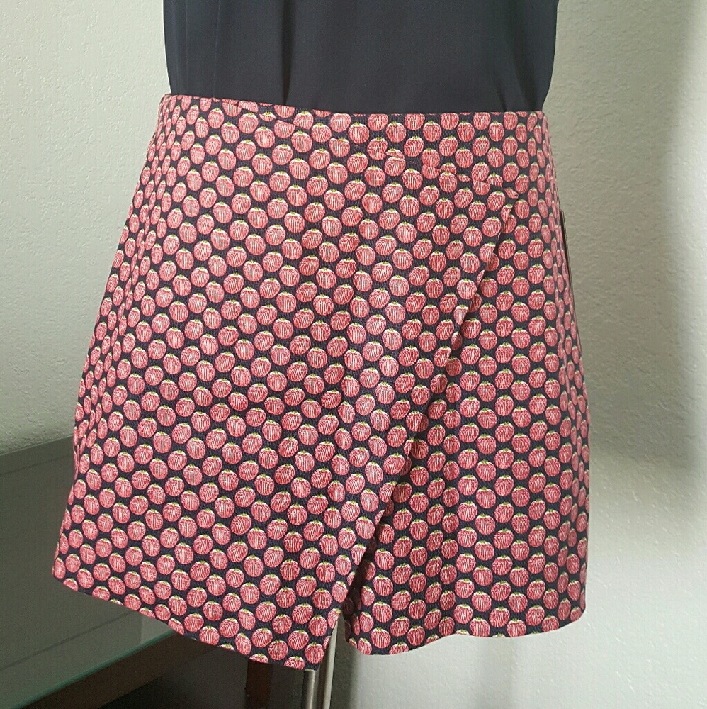 Zara shorts, navy blue / red