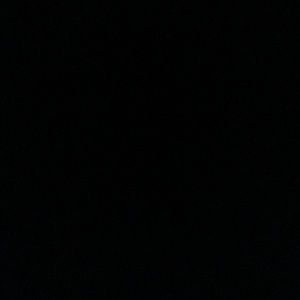 Coach Carly hobo shoulder bag