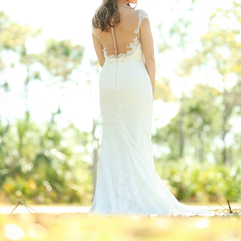 Pronovias Tamar Wedding Dress