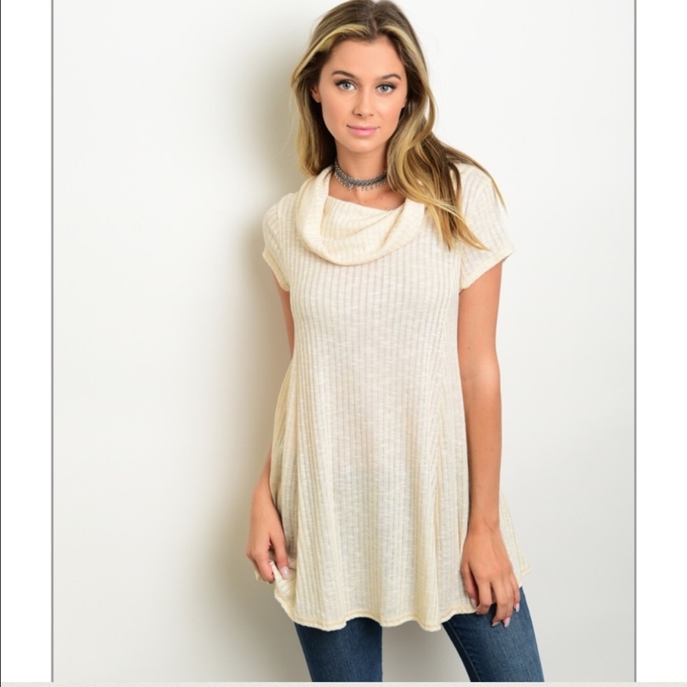 Ribbed Cowl Neck Tunic