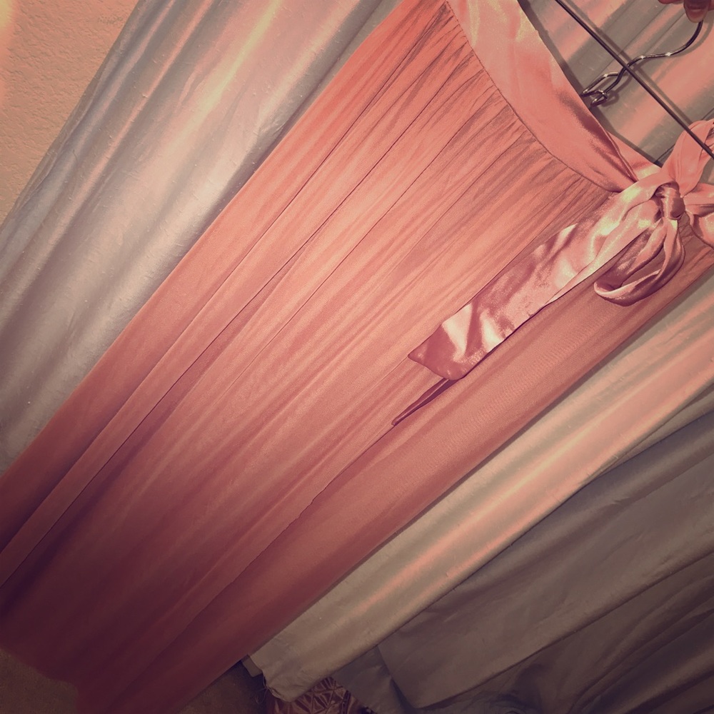Sheer Dusty Rose Skirt Cover