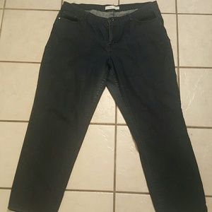 Jaclyn Smith Dar Blue Jeans