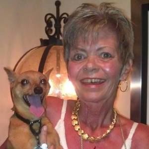 Meet your Posher, Roni