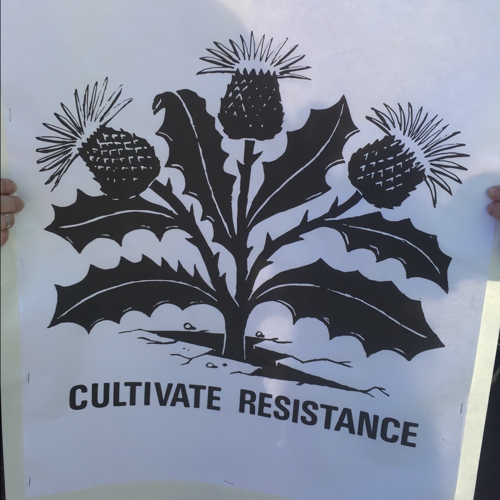 Meet your Posher, Ane