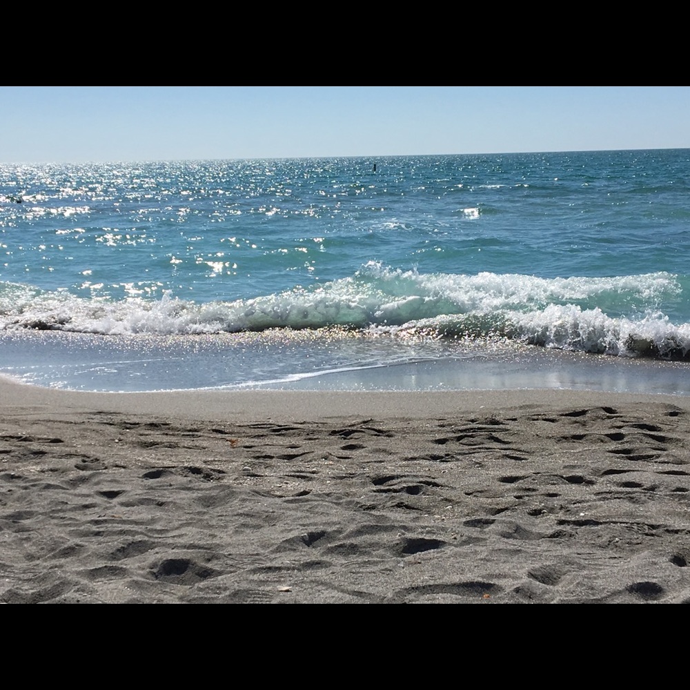 Meet your Posher, Bea