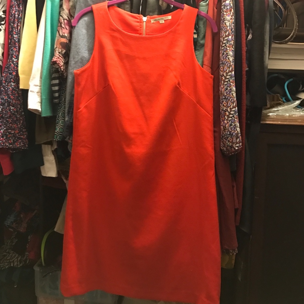 Great orange gap dress!!!