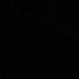 Meet your Posher, Kylee