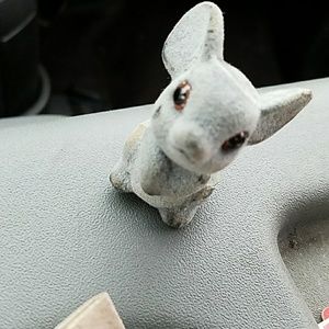 Meet your Posher, Tommy