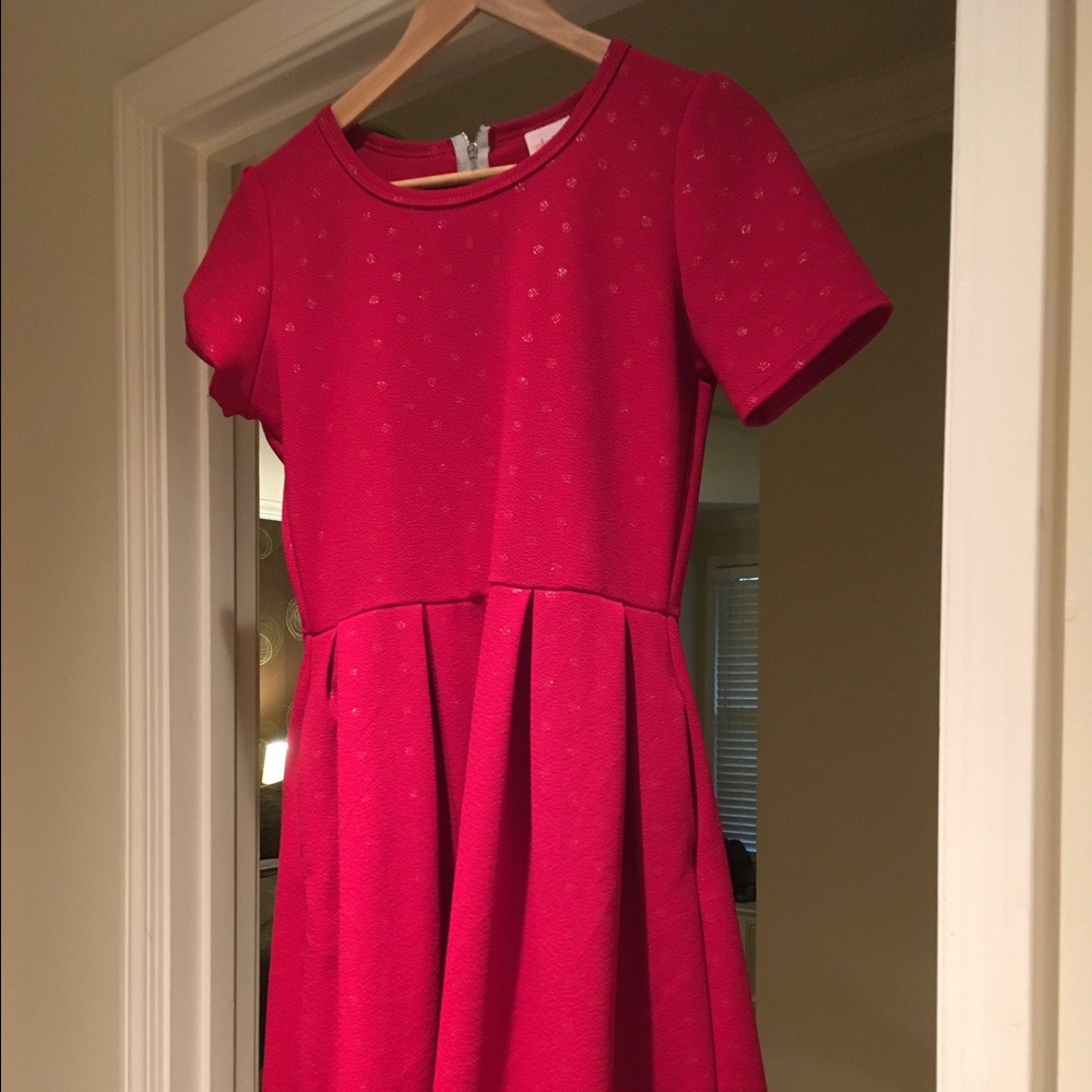 Elegant Amelia LuLaRoe dress