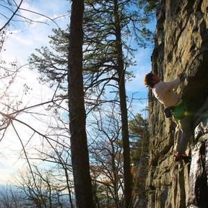 Meet your Posher, Steven