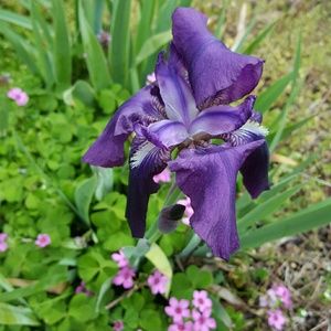 Meet your Posher, Bonnie