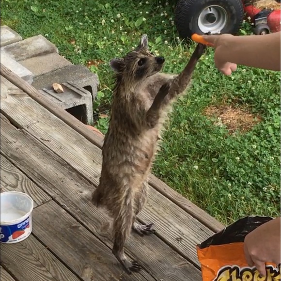 Meet your Posher, Shonta - Picture 6 of 8