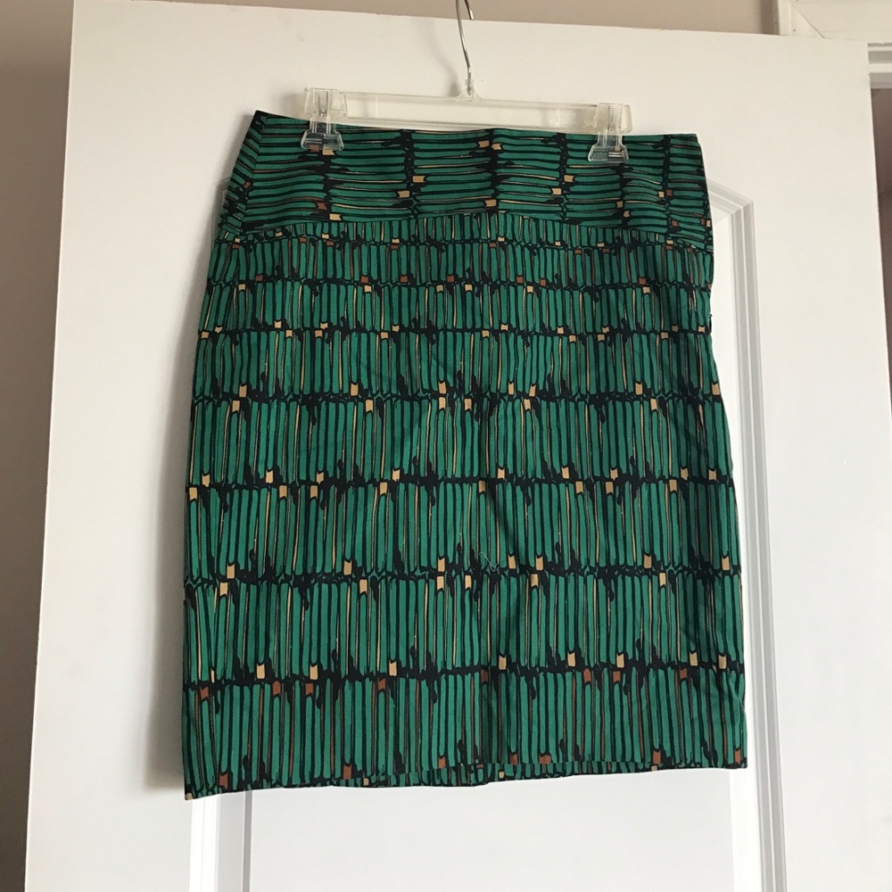 The Limited Skirt size 6
