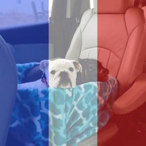 Meet your Posher, Courtney