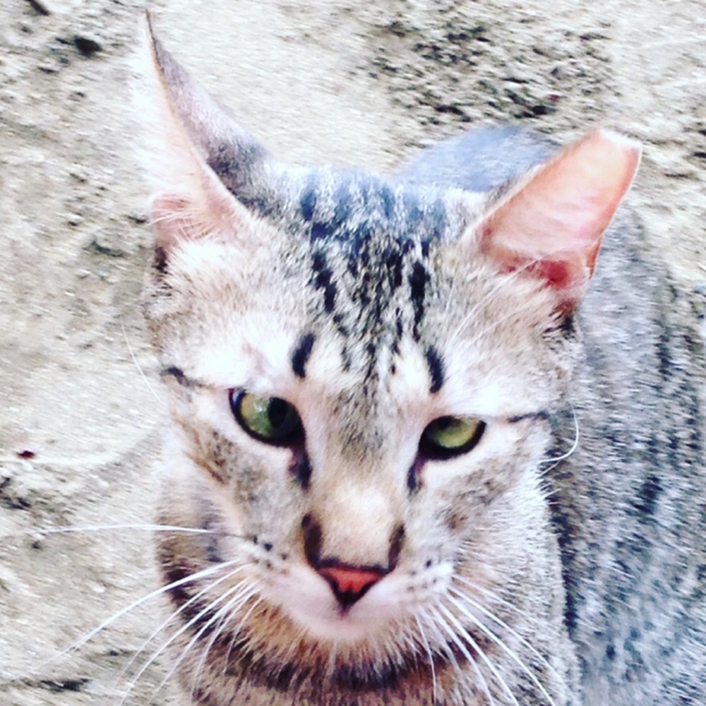 Meet your Posher, Jocelyn