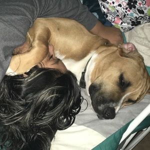 Meet your Posher, Janette