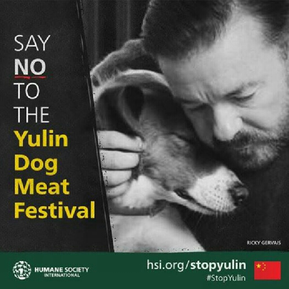 Be the voice to the voiceless
