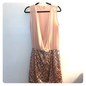 Blush and Rose Gold Sequined Mini Dress