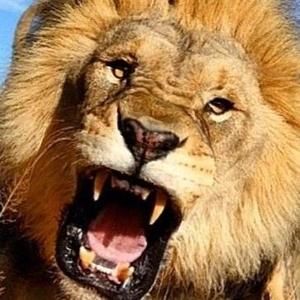 Meet your Posher, M. freeman