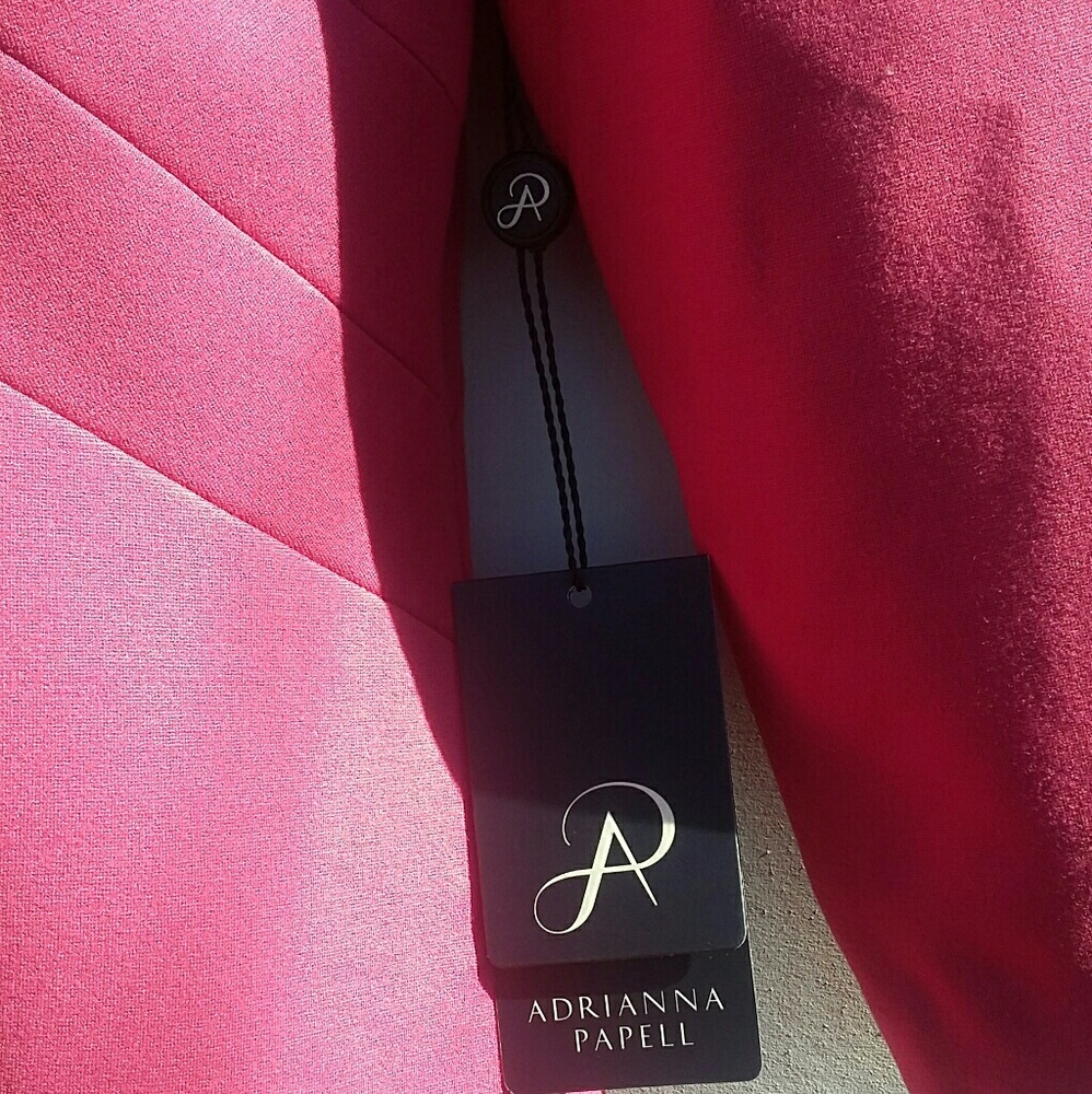 NWT! PINK STRUCTURED BODYCON TEACUP DRESS SZ 8 - Picture 6 of 7