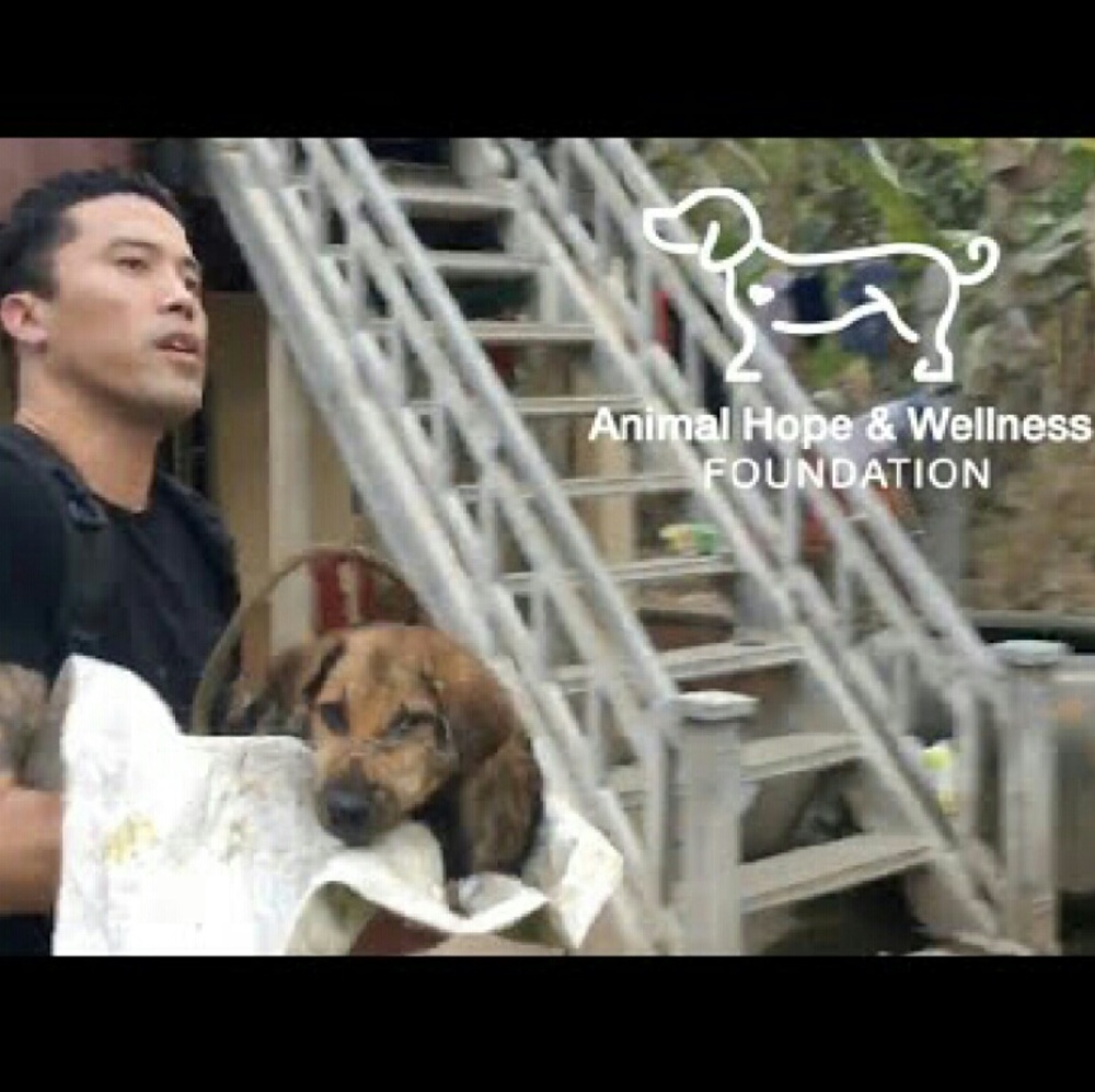 They said no to Yulin Festival