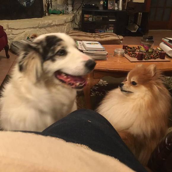 Meet your Posher, Terri - Picture 1 of 1