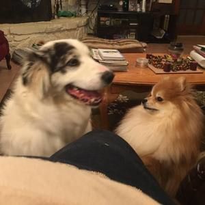 Meet your Posher, Terri