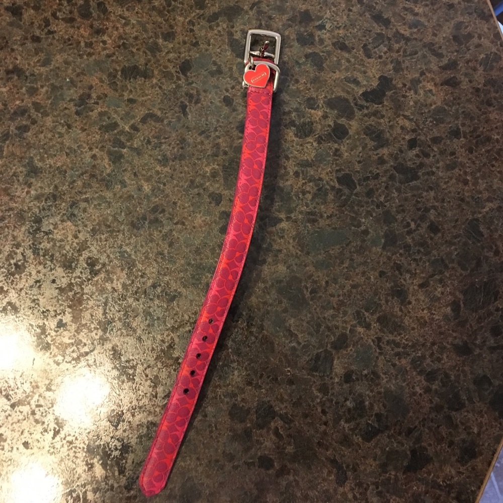 Coach dog fashion collar