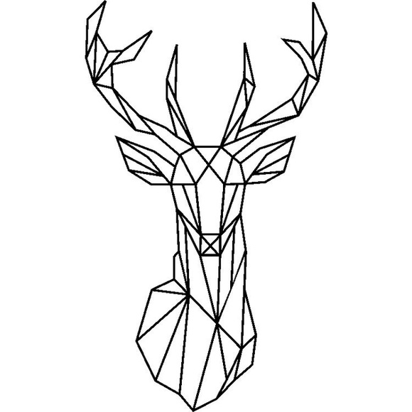 Meet your Posher, Zach - Picture 1 of 1