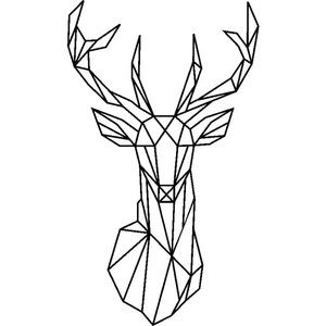 Meet your Posher, Zach