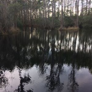 Meet your Posher, Iv