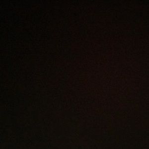 Meet your Posher, Tonianne