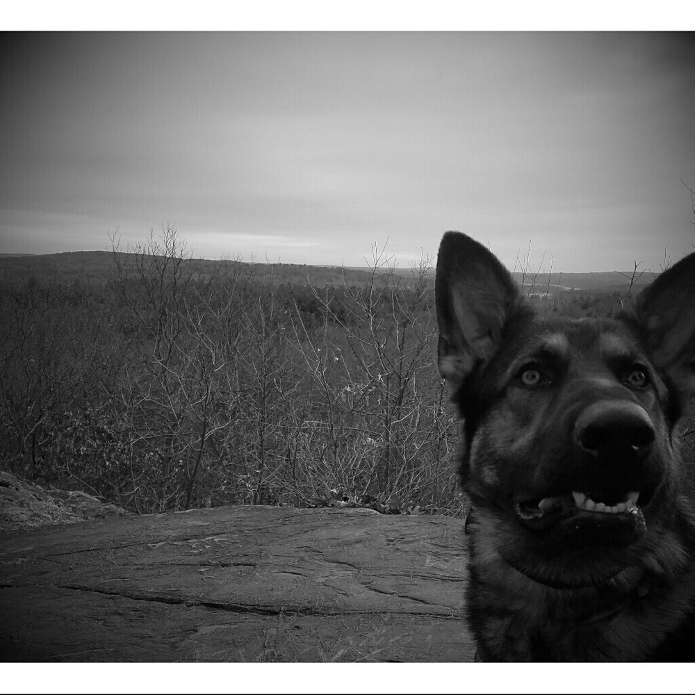 Meet your Posher, Janine