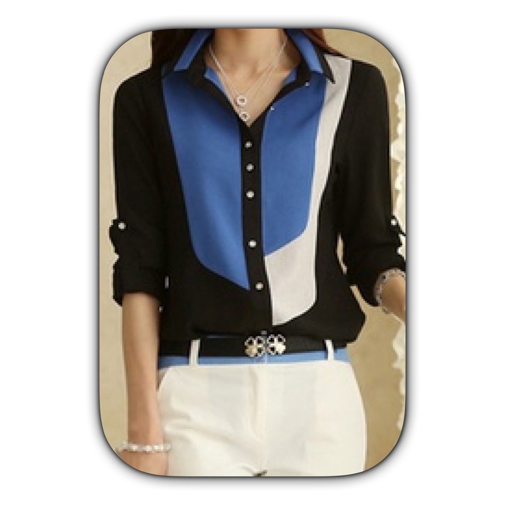 Woman’s, Sheer, Black, Blue, and White Blouse.