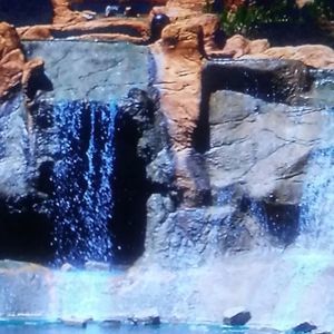 Meet your Posher, Taneka