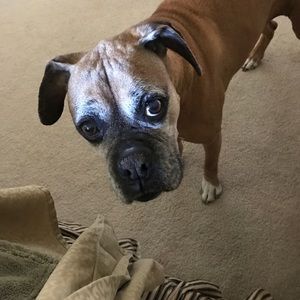 Meet your Posher, Dian