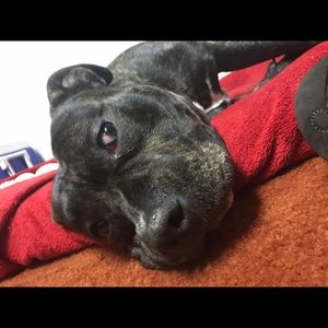 Meet your Posher, Jacque