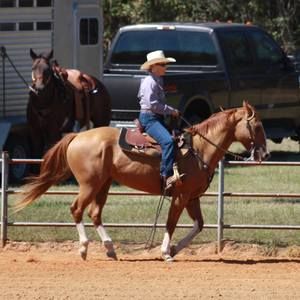 Meet your Posher, Susan