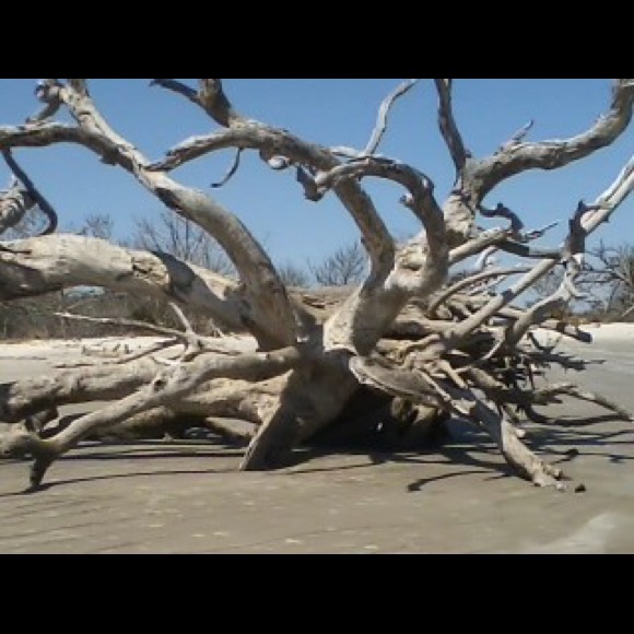 Meet your Posher, Juliana - Picture 1 of 1