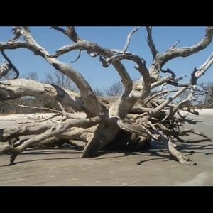 Meet your Posher, Juliana