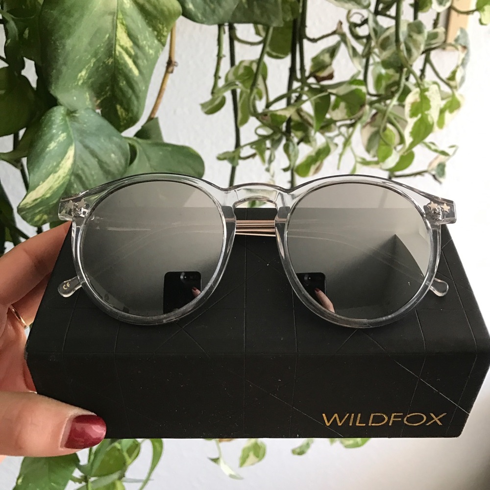 Wildfox Steff Deluxe Sunglasses in Clear