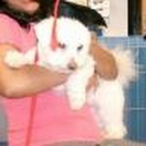 Meet your Posher, Nivedita