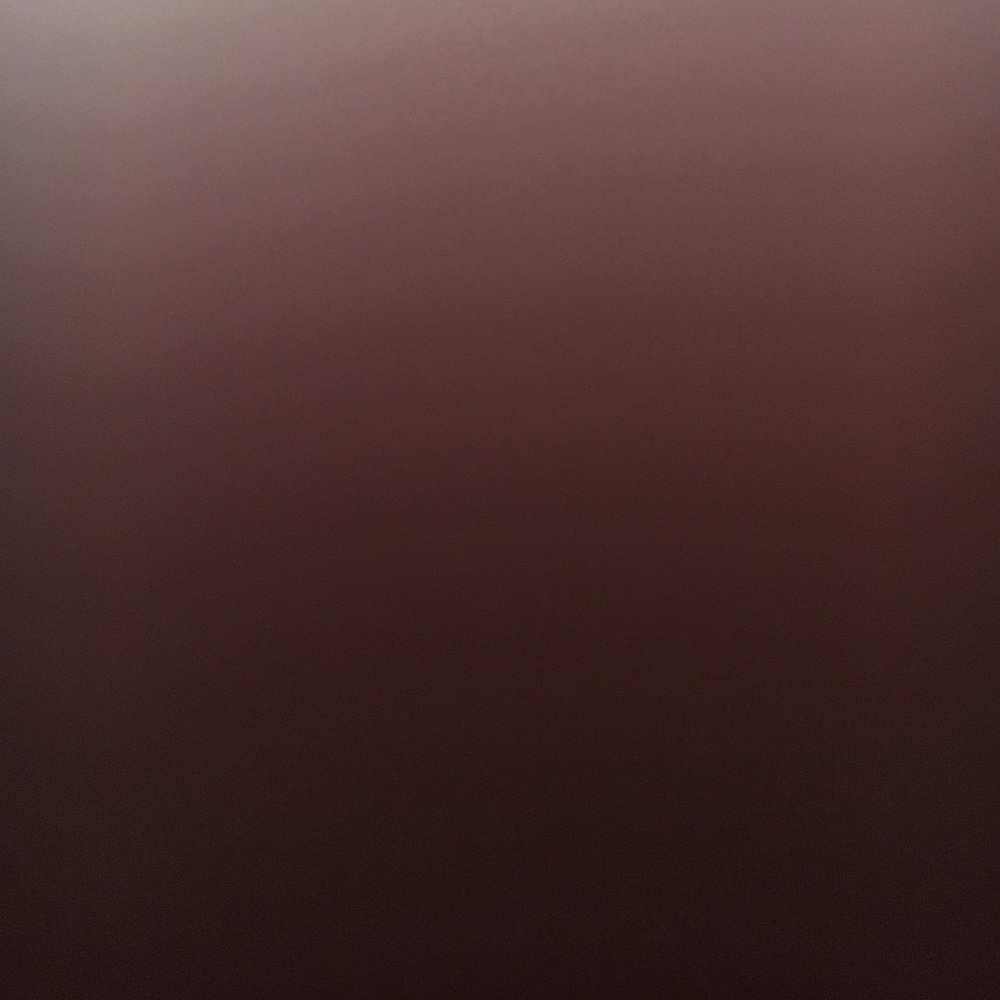 Meet your Posher, Hayley