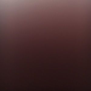 Meet your Posher, Hayley