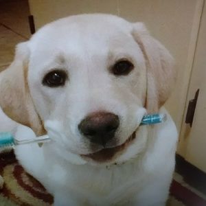 Meet your Posher, Leigh anne