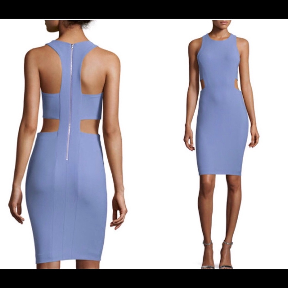 Elizabeth and James Phoenix Sheath Dress in Purple