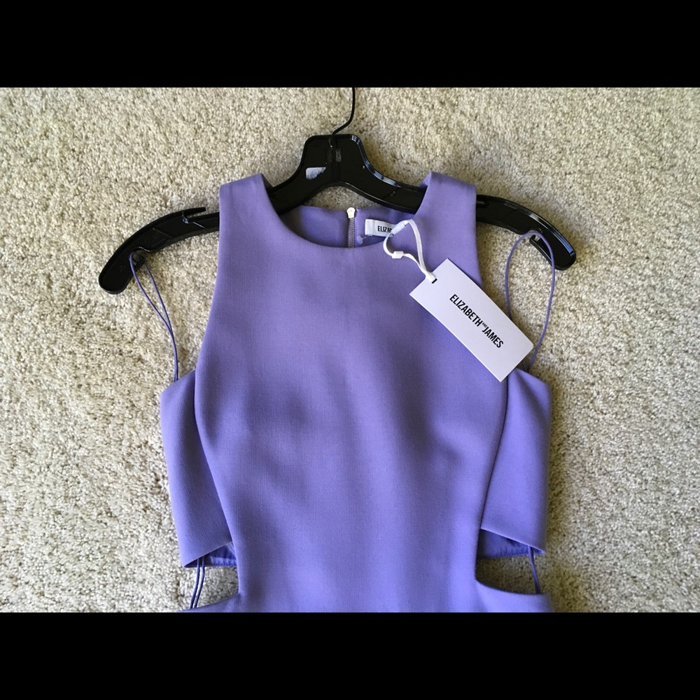 Elizabeth and James Phoenix Sheath Dress in Purple - Picture 2 of 2