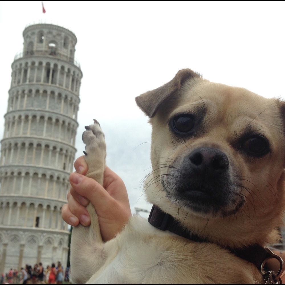 Meet your Posher, Giana